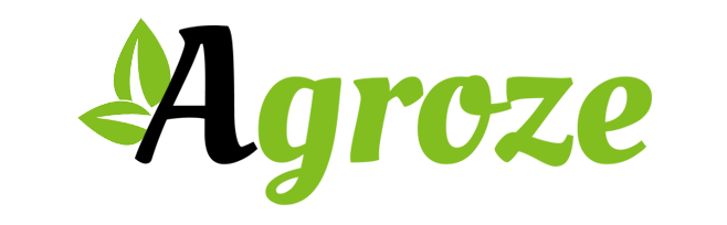 logo-main